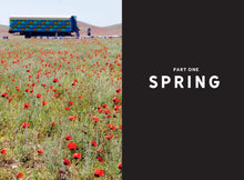 Load image into Gallery viewer, red sands