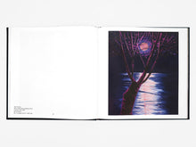 Load image into Gallery viewer, ann craven and reggie burrows hodges: moons and angels