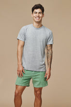 Load image into Gallery viewer, heathered jung tee in grey