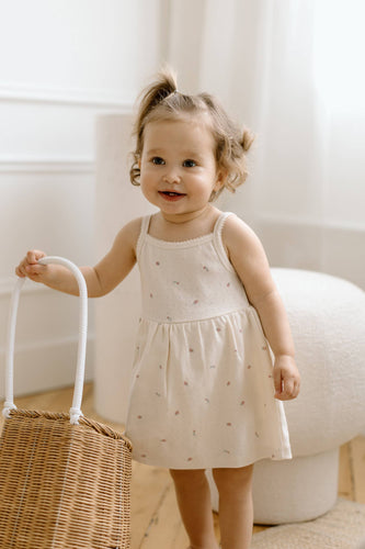 belle soleil pointelle bodysuit dress