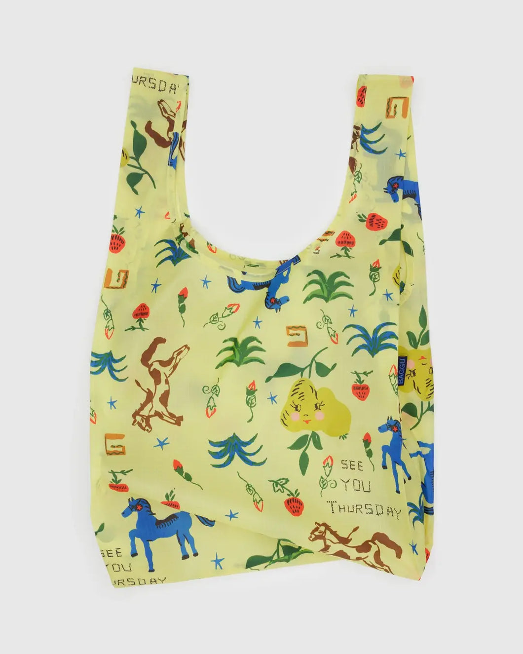standard baggu in painted prairie